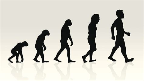 「ヒトの進化」のイメージは間違いだったことがゲノム比較分析で判明 クーリエ・ジャポン
