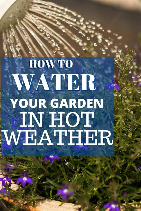A Blue Sign That Says How To Water Your Garden In Hot Weather With