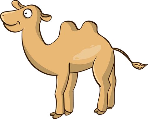Camel Cartoon