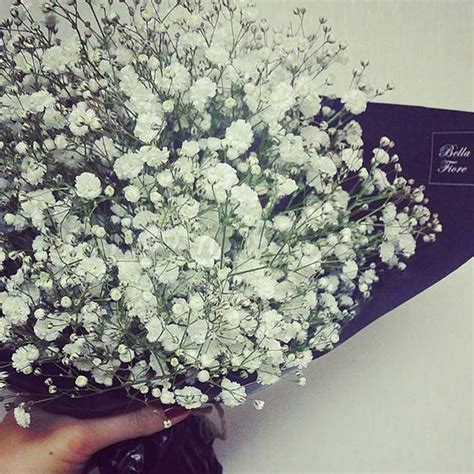 The baby's breath flower does not require too much care to stay healthy. Artificial Silk Gypsophila Flower Bouquet Baby Breath ...