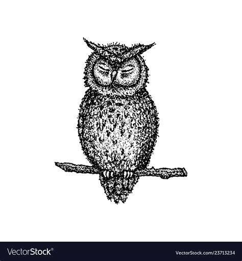 Dotwork Sleeping Owl Royalty Free Vector Image