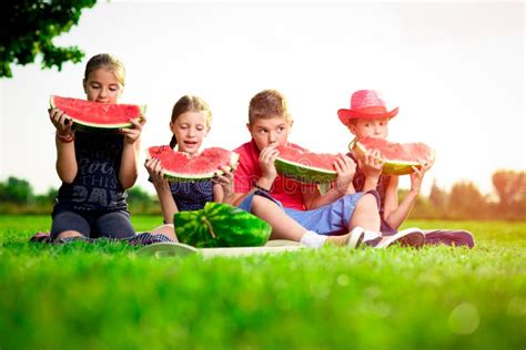 254 Cute Children Eating Watermelon Sunny Day Stock Photos Free