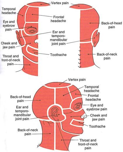 Back Of Head Pain