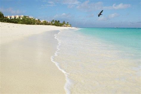 Eagle Beach Best Attractions In Aruba