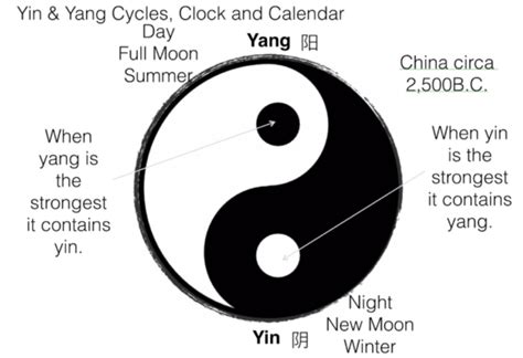The Yin And Yang Symbol Of Life Br