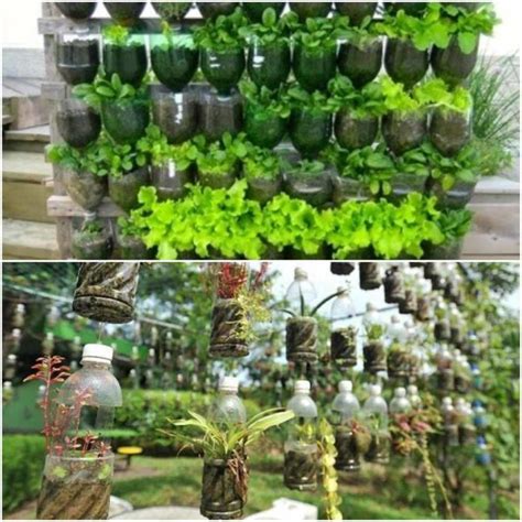 How To Make A Vertical Garden With Plastic Bottles