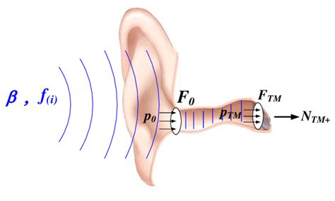 Sound Wave Propagation In The Outer Ear Let í µí² í µí² 1í µí±