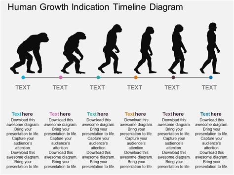 The smithsonian institute has a handy, interactive human webpage: Ll Human Growth Indication Timeline Diagram Flat ...
