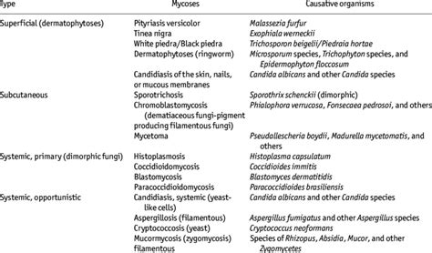 Classification Of Mycoses Download Table