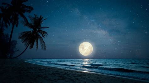 Download Moonlight Beach Night View Wallpaper | Wallpapers.com