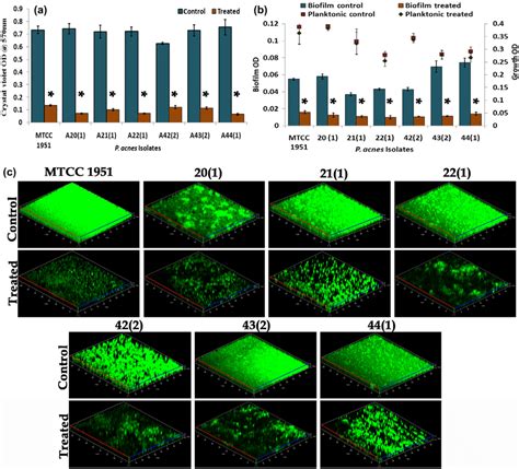 A Crystal Violet Quantification Of Biofilm By Untreated Control And