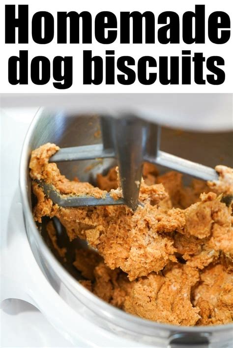 Easy Homemade Dog Biscuits 5 Ingredient Baked Dog Treats