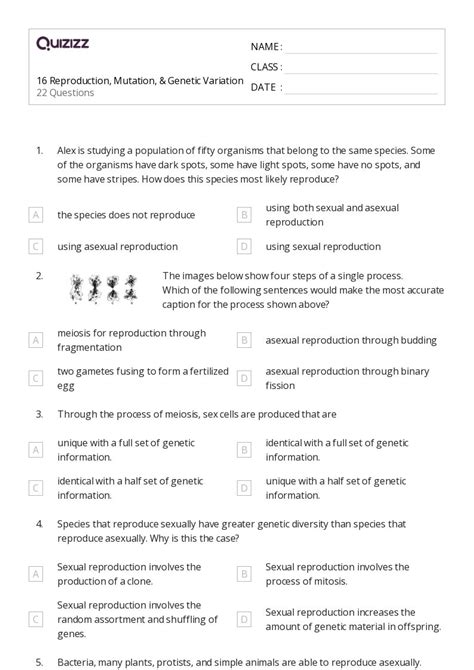 50 Genetic Variation Worksheets For 10th Year On Quizizz Free