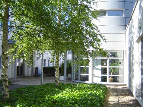 Iris Murdoch Centre, entrance with birch trees and ivy - University of Stirling - Ian White ...