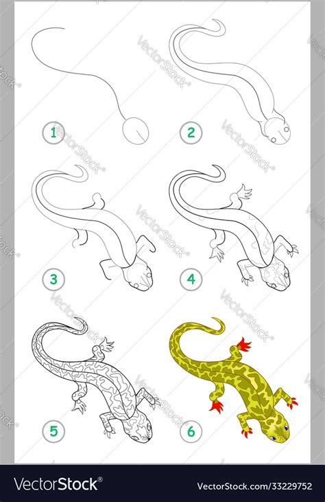 How To Draw Step Step Cute Little Lizard Vector Image