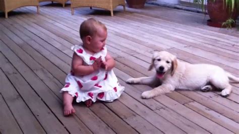 Part 2 Of Golden Retriever Puppy Loving Baby Youtube