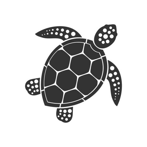 Sea Turtle Graphic Pics Illustrations Royalty Free Vector Graphics