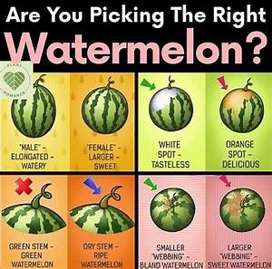 How To Pick A Ripe Sweet Watermelon Fine Dining Lovers