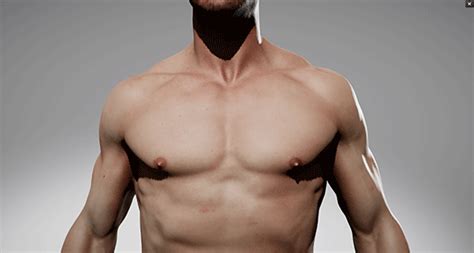 3D Reference Models for Artists | Anatomy 360 3d Models