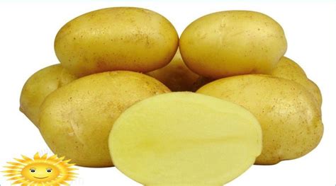 Les meilleures variétés de pommes de terre