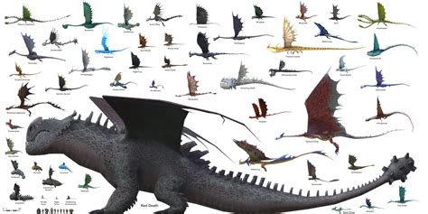 Dragon Charts With Images How To Train Dragon Httyd Dragons