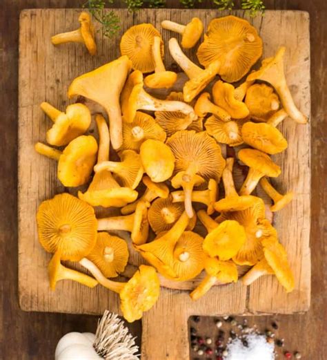 Common Types Of Mushrooms How To Cook Them