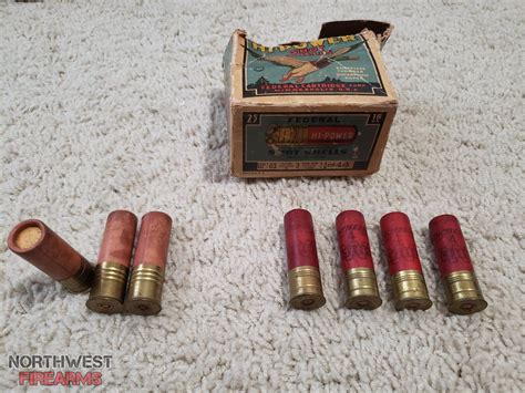 7 Old 16 Gauge Paper Shotgun Shells With Torn Box Northwest Firearms