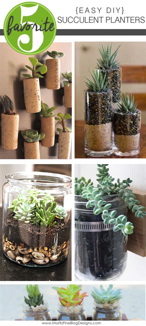 Easy Diy Succulent Planters Free Printable Included