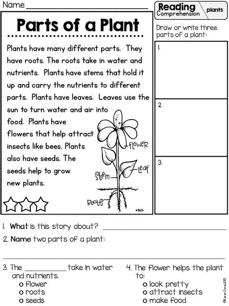 20 First Grade Science Worksheets