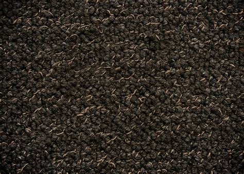 Textured Loop Pile Carpet New Scribbles By Prestige Carpets