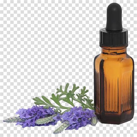 Essential Oil Aromatherapy Lavender Oil Oil Transparent Background Png