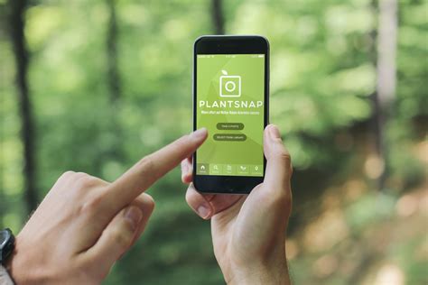 Plantsnap Is A Mobile App That Helps You Identify Plants Flowers And