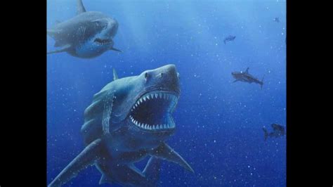C.Megalodon - YouTube