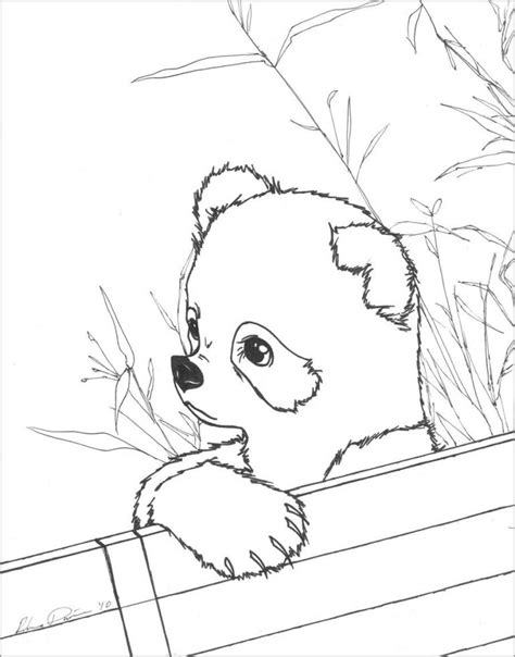 Cute Baby Panda Coloring Page Coloringbay