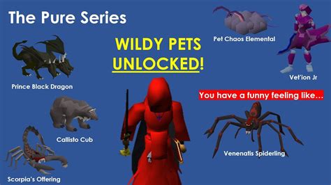 Osrs Pure Series Episode 39 All Wilderness Pets Unlocked Loot From