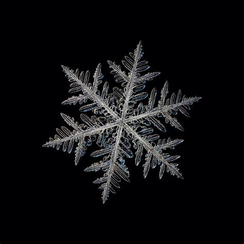 Alexey Kljatov Snowflakes Real Snowflake Wallpaper Snowflake Photos