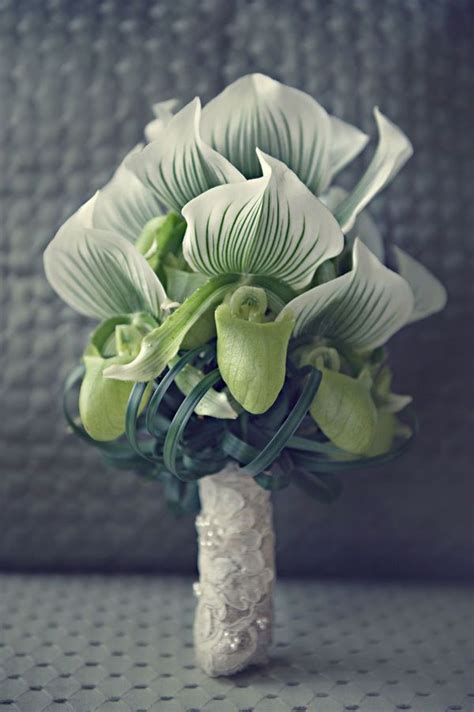 5 10 20 30 40 50 100 sort by: Winter Weddin in Greenwich, CT (Photos) -- with su ...