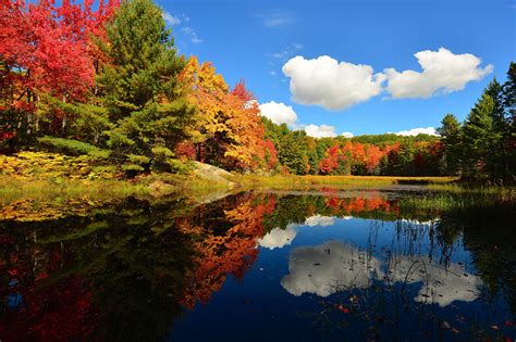 Picture Autumn Nature Pond Trees