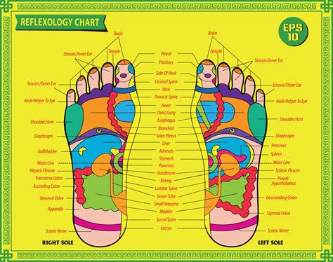Reflexology Dragonstyle Herbs Acupuncture And Holistics