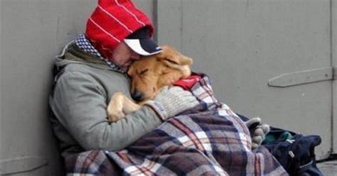Emergency Help For Homeless And Their Dogs Jaynes Blog