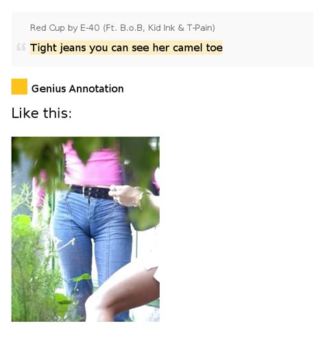 Southern culture on the skids singing about little debbie snack cakes and walking like a camel. Tight jeans you can see her camel toe - Red Cup Lyrics Meaning