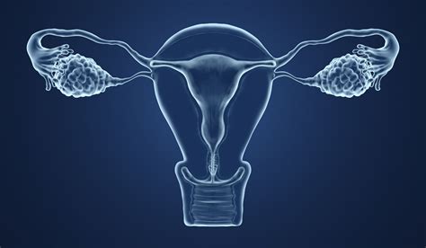 Popularizing Uterus Transplants Into Biological Males National Review