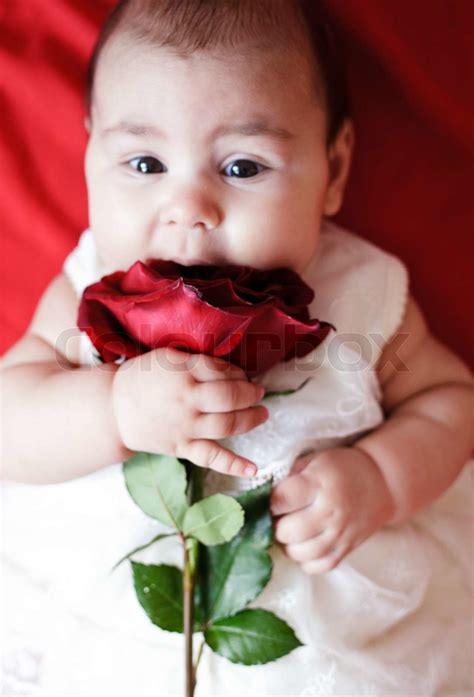 Cute Girl With Red Rose Stock Image Colourbox