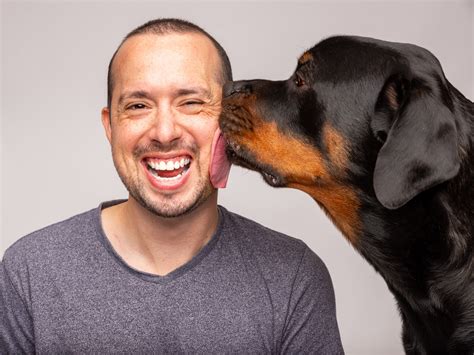 Perth photographer helps RSPCA dogs find ‘fur-ever homes’