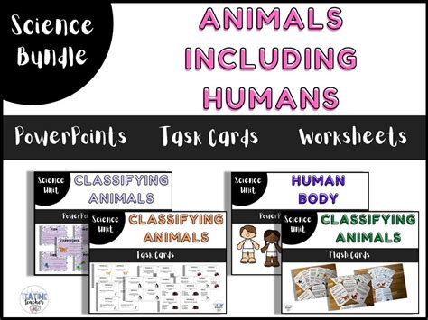 Animals Including Humans Year 5