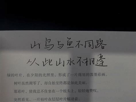 山鸟与鱼不同路 飞鸟与鱼不同路 伤感说说吧