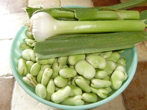 Well of course, she is your fave , isn't she? Non solo Cucine Isolane: Fave Bollite