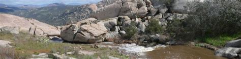 Ecological landscape planning has five stages: What Is Permaculture