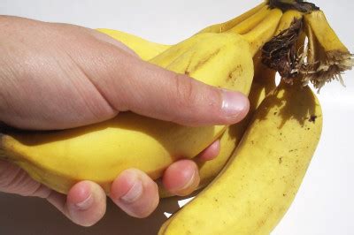 Lições da natureza o exemplo da banana