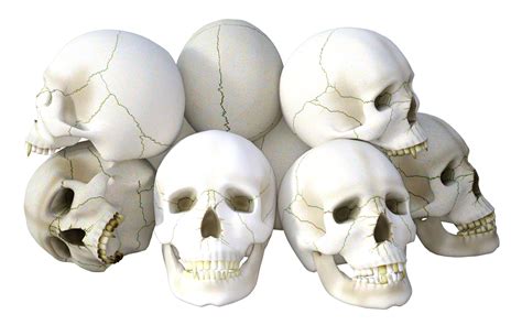 Mauve mulberry skull pencabut nyawa png tiktok challenge jumping on back tik tok challenge download now for free this human skull transparent png picture with no background : Skull Pencabut Nyawa Png : Zugaikotsu-chan : If you like ...